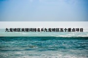 九龙坡区关键词排名&amp;九龙坡区五个重点项目