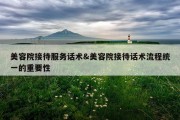 美容院接待服务话术&amp;美容院接待话术流程统一的重要性