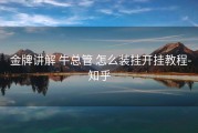  金牌讲解 牛总管 怎么装挂开挂教程-知乎