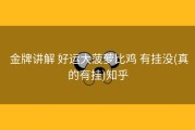  金牌讲解 好运大菠萝比鸡 有挂没(真的有挂)知乎