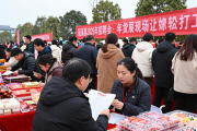 辰溪县2025年招聘会：年货展现场让你轻松找工作