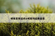 喊麦常用话术&amp;喊麦词经典语录