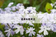话术&amp;话术士