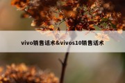 vivo销售话术&amp;vivos10销售话术