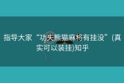 指导大家“功夫熊猫麻将有挂没”(真实可以装挂)知乎