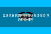  金牌讲解 熊猫麻将 有没有透视挂(真的有挂)知乎