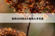 来凤SEM优化&amp;来凤人才引进