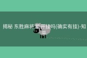  揭秘 东胜麻将 能开挂吗(确实有挂)-知乎