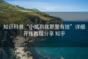 知识科普“小贰到底那里有挂”详细开挂教程分享 知乎