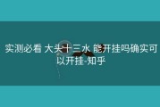  实测必看 大头十三水 能开挂吗确实可以开挂-知乎