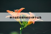狮子山区关键词排名&amp;狮子山镇