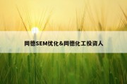同德SEM优化&amp;同德化工投资人