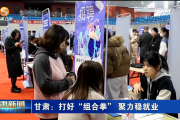 2025年春风行动：酒泉瓜州名企送岗招聘会提供800+岗位，助力我省稳就业高质量发展
