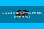  玩家亲测 新青鸟大厅 到底那里有挂(确实有挂)-知乎
