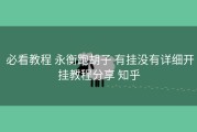 必看教程 永衡跑胡子 有挂没有详细开挂教程分享 知乎