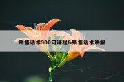 销售话术900句课程&amp;销售话术讲解