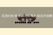  实测分析 微乐湖北麻将 有挂没开挂教程-知乎