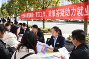 合肥新站高新区招聘会：家门口找工作，政策答疑助力就业