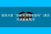 指导大家“胡胡乐到底有挂吗”(真实可以装挂)知乎