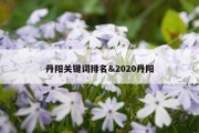 丹阳关键词排名&amp;2020丹阳