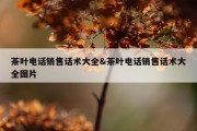 茶叶电话销售话术大全&amp;茶叶电话销售话术大全图片