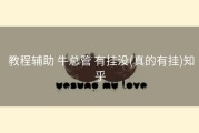  教程辅助 牛总管 有挂没(真的有挂)知乎
