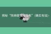 揭秘“陕麻圈有挂没有”(确实有挂)-知乎