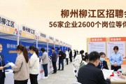 柳州柳江区招聘会：56家企业2600个岗位等你来