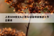上思SEM优化&amp;上思32企业项目推进工作总要求