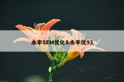 永丰SEM优化&amp;永丰优93