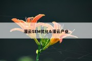 灌云SEM优化&amp;灌云产业