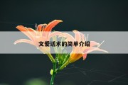 文爱话术的简单介绍