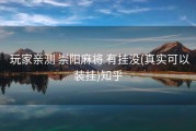  玩家亲测 崇阳麻将 有挂没(真实可以装挂)知乎