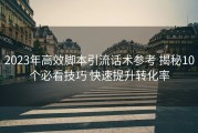 2023年高效脚本引流话术参考 揭秘10个必看技巧 快速提升转化率