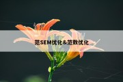 范SEM优化&amp;范数优化