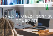 分享经验“小闲川南是不是有挂”(真实可以装挂)知乎
