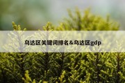 乌达区关键词排名&amp;乌达区gdp