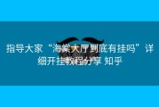指导大家“海棠大厅到底有挂吗”详细开挂教程分享 知乎