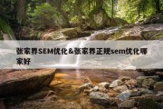 张家界SEM优化&amp;张家界正规sem优化哪家好