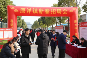 唐洋镇新春招聘会 290个岗位送到家门口，最高月薪超万元