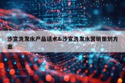 沙宣洗发水产品话术&amp;沙宣洗发水营销策划方案