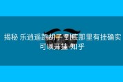  揭秘 乐逍遥跑胡子 到底那里有挂确实可以开挂-知乎