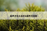 超声刀引入话术&amp;超声刀流程