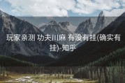  玩家亲测 功夫川麻 有没有挂(确实有挂)-知乎
