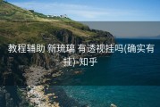  教程辅助 新琉璃 有透视挂吗(确实有挂)-知乎