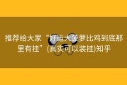 推荐给大家“好运大菠萝比鸡到底那里有挂”(真实可以装挂)知乎