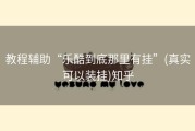 教程辅助“乐酷到底那里有挂”(真实可以装挂)知乎