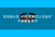 家攻略分享“今日花牌可以开挂吗”开挂教程-知乎