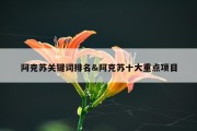阿克苏关键词排名&amp;阿克苏十大重点项目