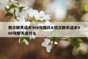 初次聊天话术900句图片&amp;初次聊天话术900句聊天说什么